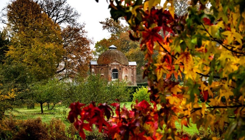 The Vyne - autumn colour against summerhouse - National-Trust -Virginia-Langer The Vyne - autumn colour against summerhouse - National-Trust -Virginia-Langer